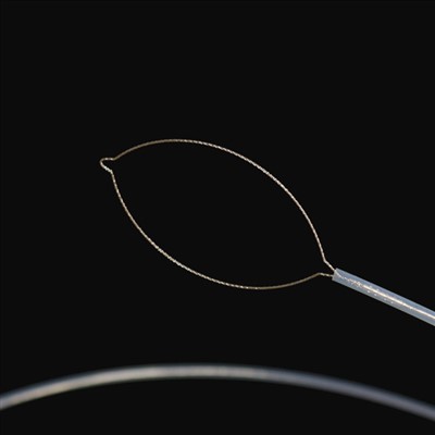 চোলা টাইপ বিদেশী বডি ফৰ্চেপ