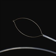 Prong ধৰণৰ বিদেশী শৰীৰৰ ফৰ্চেপ